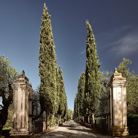Almeira 4Acre Estate, For Unparalleled Seclusion, By Thinkvilla Zakynthos Exteriér fotografie