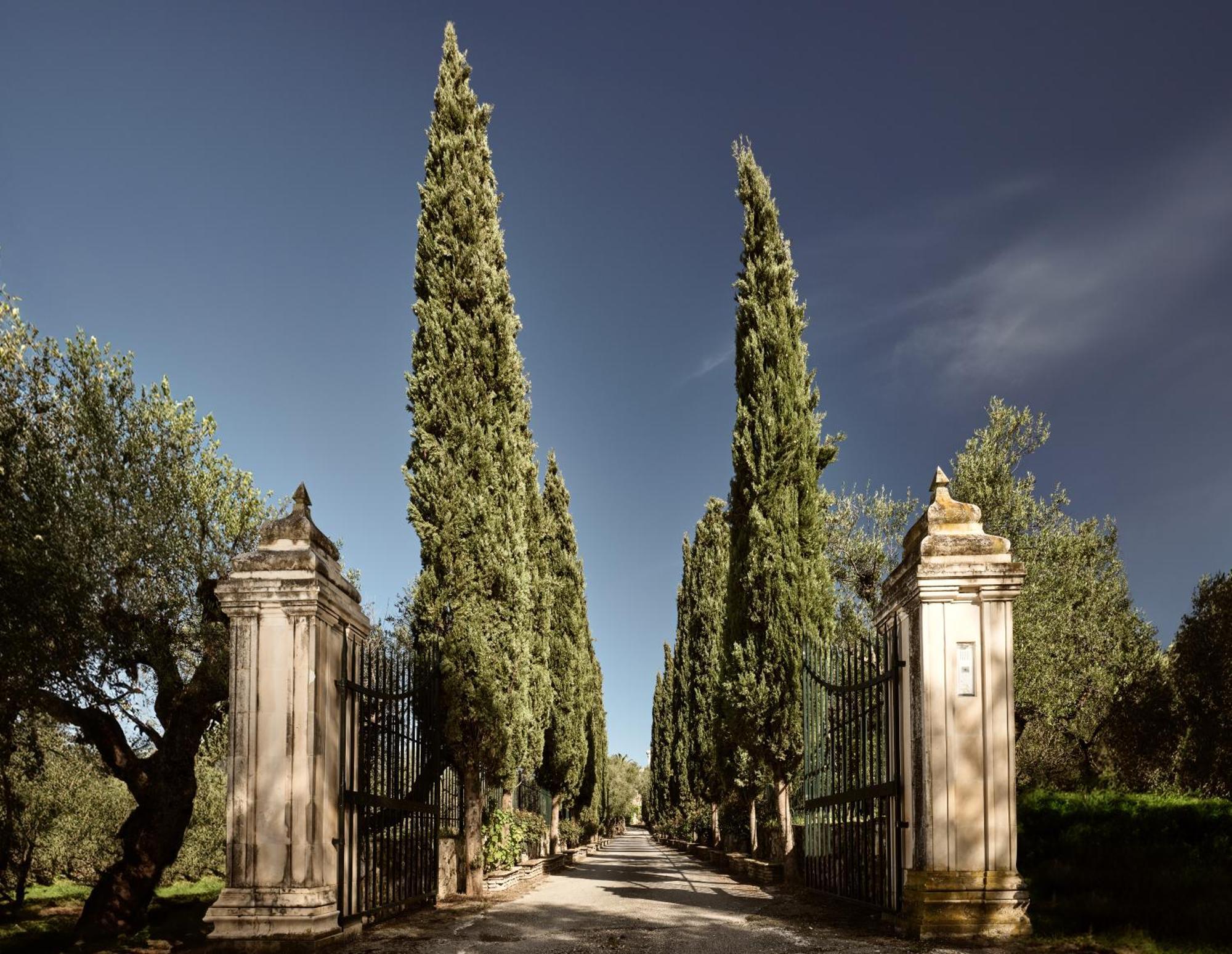 Almeira 4Acre Estate, For Unparalleled Seclusion, By Thinkvilla Zakynthos Exteriér fotografie