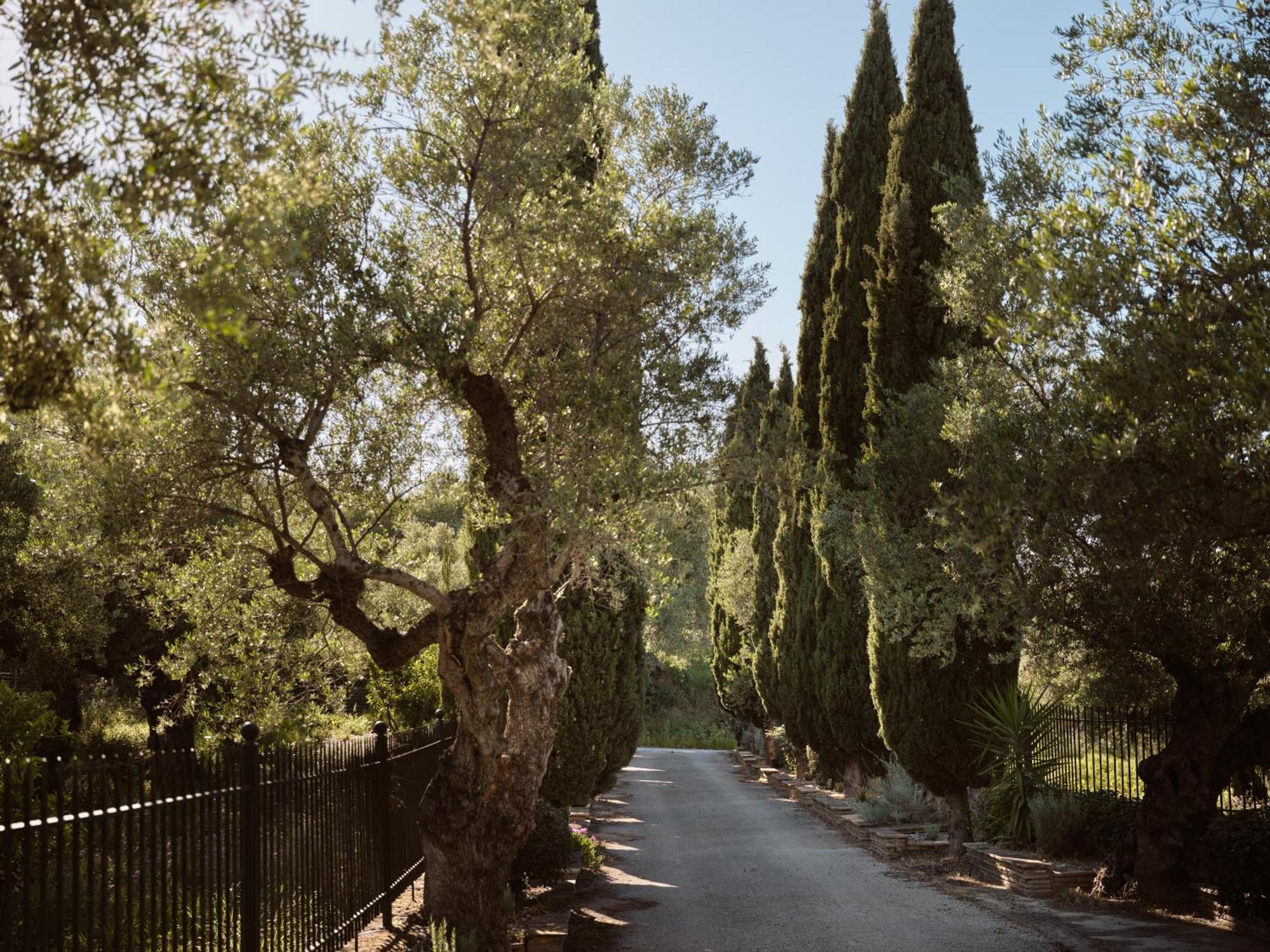 Almeira 4Acre Estate, For Unparalleled Seclusion, By Thinkvilla Zakynthos Exteriér fotografie